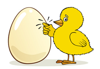 Little Chick knocking on Egg