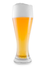 fresh beer