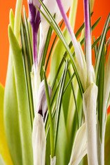Fototapeta premium Rich spring flowers background