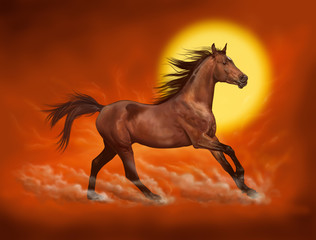 Obraz na płótnie Canvas horse sunlight