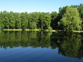 Fototapeta na wymiar Park lake - summer landscape