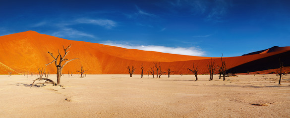 Namib-woestijn, Sossusvlei, Namibië