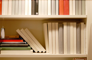 Books on the bookcase