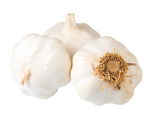garlic bulb