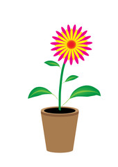 Varicoloured flower