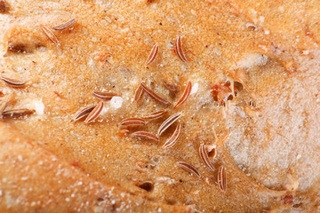 bread background