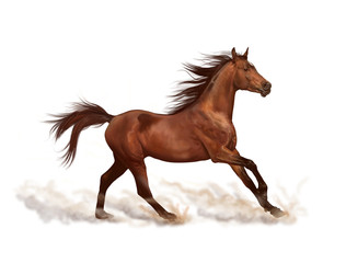 horse 3