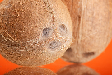 coconut