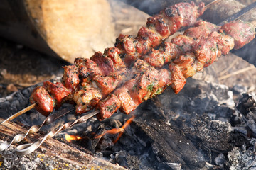 shashlik at nature