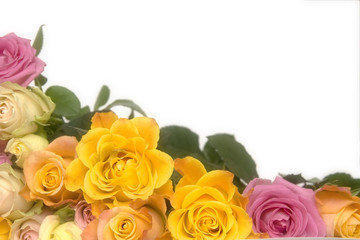 Obraz na płótnie Canvas Pink and yellow roses