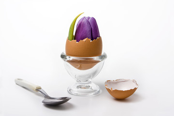 Frühstücksüberraschung