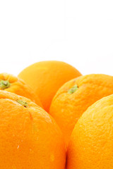 Oranges on white