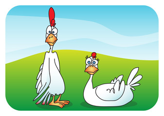rooster and chicken