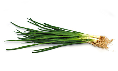 Fresh green onion isolated on a white