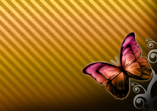 Color-Butterfly