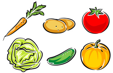 Fresh Vegetables - vector illustration