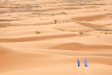 Fototapeta na wymiar Chodzenie na pustyni