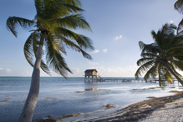 Palms and Hut on the Beach