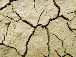 cracks are in earth