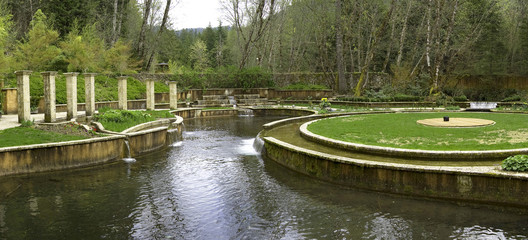 Water garden