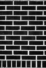 Black Brick Wall - 13015183