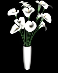 3d White Calla Lily Flower Isolated On Black