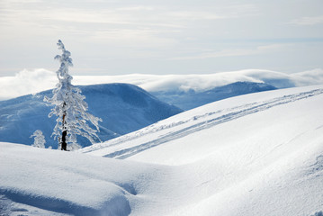 beskydy mountains in winter