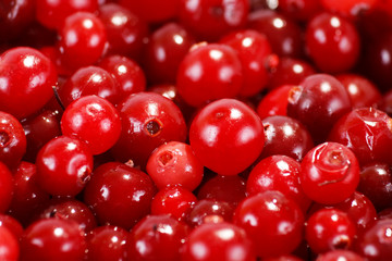 cranberries