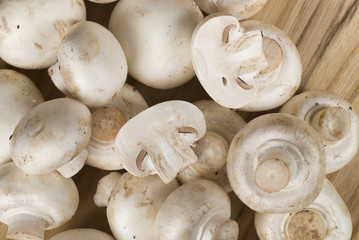 Mushroom