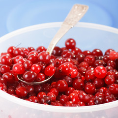 cranberries