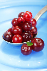 cranberries
