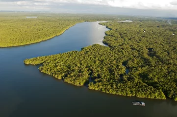 Crédence de cuisine en verre imprimé Rivière Vue aérienne de la forêt de mangrove Sarawak River Bornéo