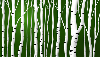 abstract birch stems background
