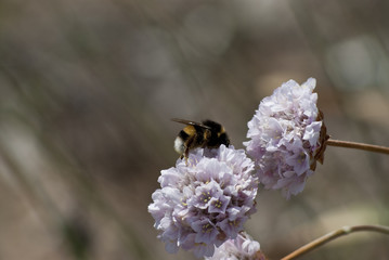 macro_0005