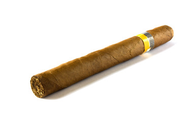 cuban cigar