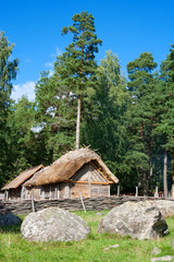 Obraz premium Vikings village