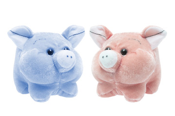 Soft Toy Pigs
