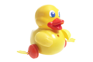 Toy Duckling