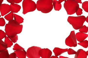 Red rose petals frame border, white copy space
