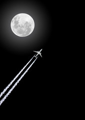 Night Flight © marilyn barbone