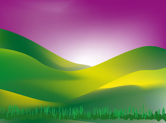 Obraz premium sunny grass landscape at sunset - mesh work