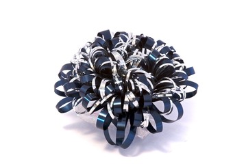 Single Blue and Silver Bow