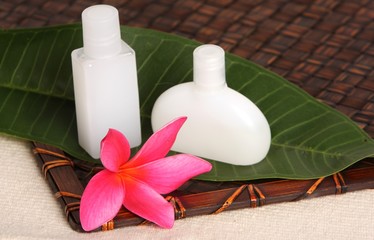 Tropical Day Spa Beauty Products