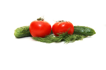 Two cucumbers with tomatoes and fennel on a white background