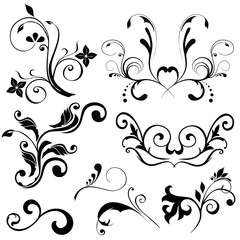 Samples of floral vectors on white background