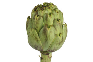 Artischocke