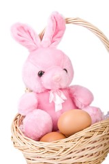 Easter Bunny In Basket