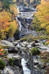 Silver Cascade Fall Color