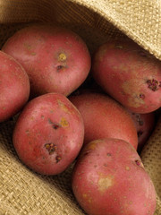 red potatoes #1
