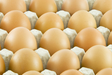 Many fresh rural eggs packed in cardboard container